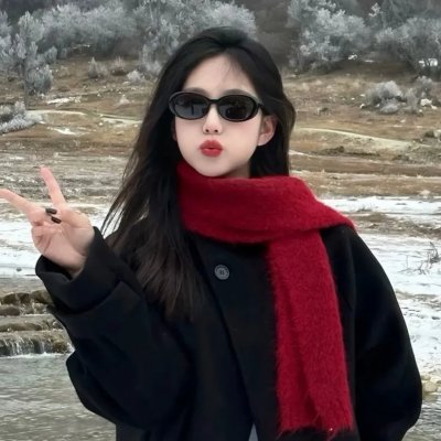暗战双凤楼海报
